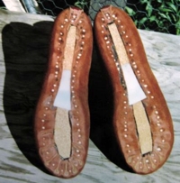 Plastic Shanks